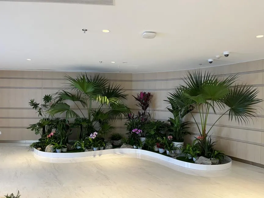 鄞州花木租赁价格实惠 鄞州花木租赁价格实惠